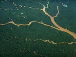 Le fleuve serpant à travers la forêt amazonienne